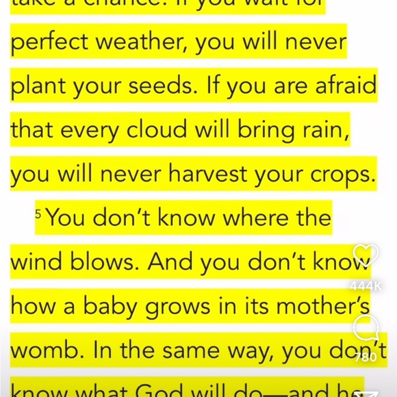 Meet your Posher, Gigi - Picture 1 of 1